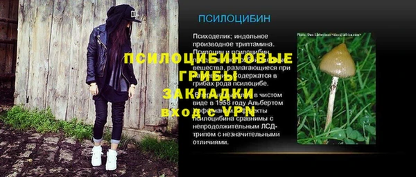 a pvp Володарск