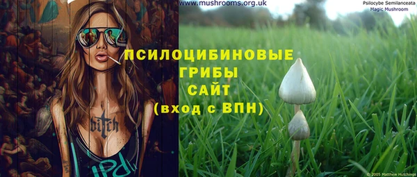 дживик Волоколамск