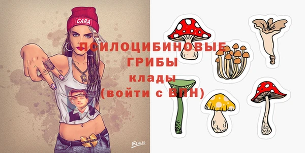 a pvp Володарск