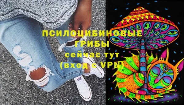 a pvp Володарск
